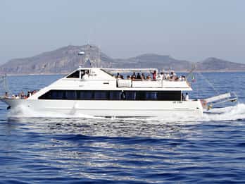Depuis Trapani : Favignana et Levanzo - Excursion en bateau avec arrêts