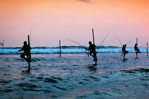 Tour di un giorno del Forte di Galle e della spiaggia di Bentota da Colombo e NegomboTour di un giorno al forte di Galle e alla spiaggia di Bentota da Colombo