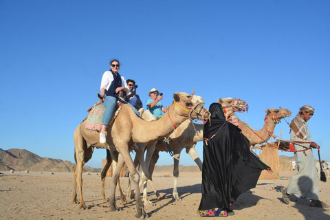 Hurghada: Camel Ride & horse ride and Off-Road Jeep Tour pickup from hotels inside hurghada