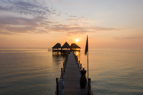 9 jours de vacances de plage et de safari ; Zanzibar et Selous G.R.