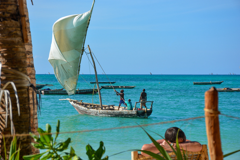 9 jours de vacances de plage et de safari ; Zanzibar et Selous G.R.