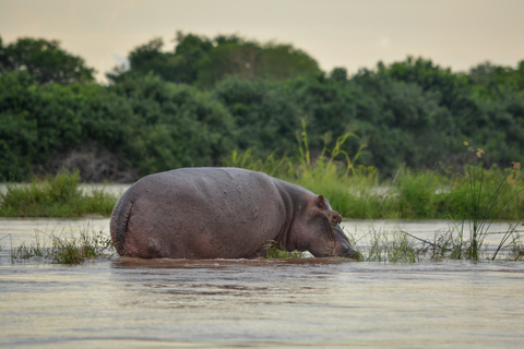 13-daagse strand- en safarivakantie; Zanzibar en Selous G.R.