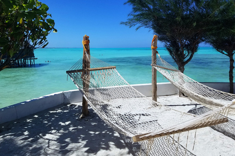 13-daagse strand- en safarivakantie; Zanzibar en Selous G.R.