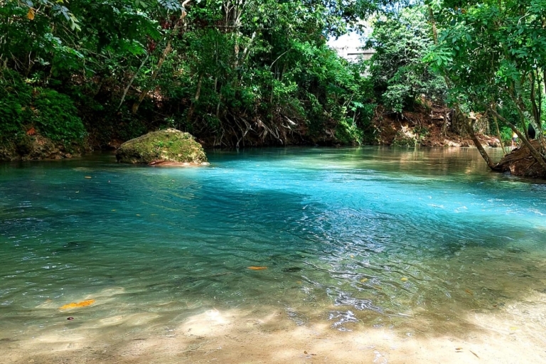 Blue Hole, Dunn’s River & Chill at Reggae Hill - Montego Bay