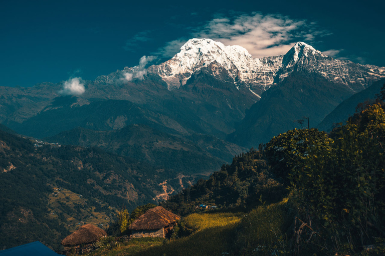 Mardi Himal Base Camp Yoga Trek 7-Day