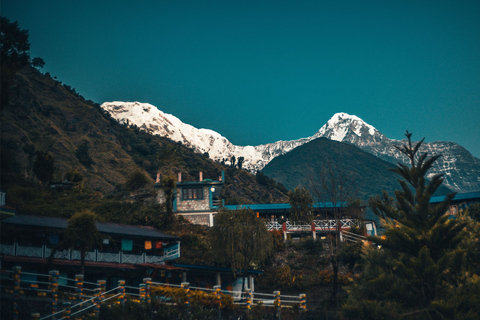 Mardi Himal Base Camp Yoga Trek 7-Day