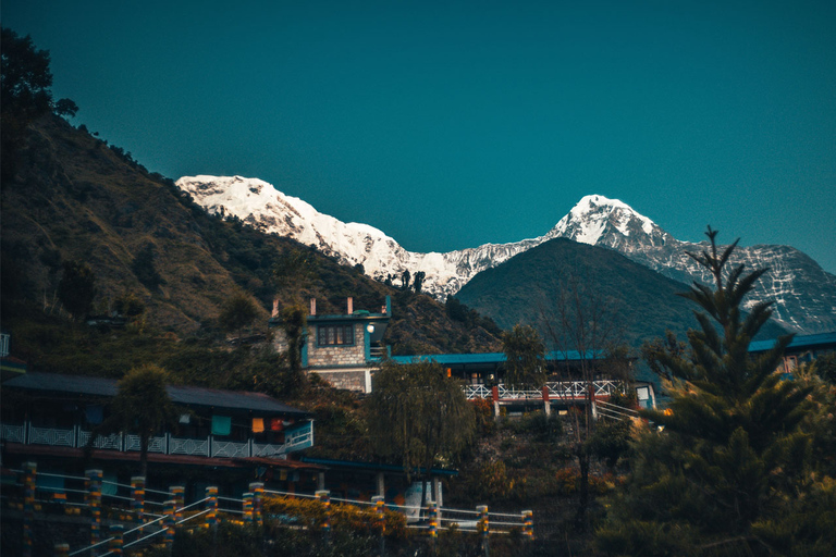 Mardi Himal Base Camp Yoga Trek 7-Day