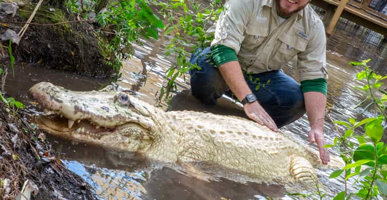 Orlando: Gatorland Skip-the-Line Ticket | GetYourGuide