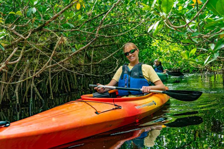 Everglades: Geführte Kajak- und Airboat-Tour