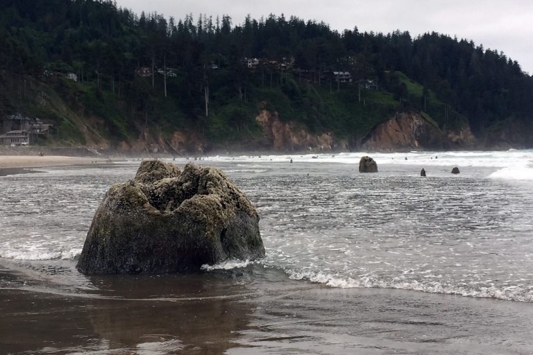 From Portland: Oregon Coast Day Trip to Three Capes Loop