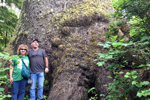 Au départ de Portland : Excursion d'une journée sur la côte de l'Oregon à Three Capes Loop