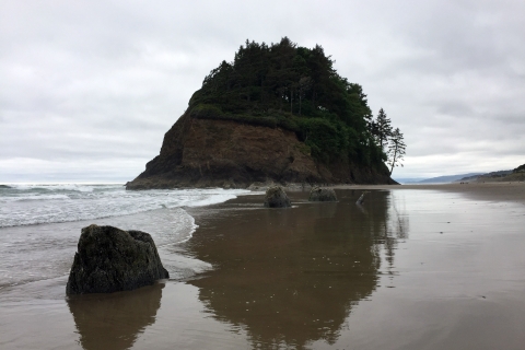 Van Portland: Dagtrip langs de kust van Oregon naar Three Capes Loop