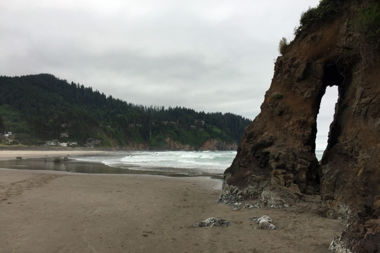 Au départ de Portland : Excursion d'une journée sur la côte de l'Oregon à Three Capes Loop