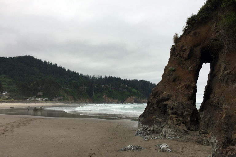 Au départ de Portland : Excursion d'une journée sur la côte de l'Oregon à Three Capes Loop