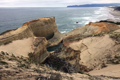 Au départ de Portland : Excursion d'une journée sur la côte de l'Oregon à Three Capes Loop