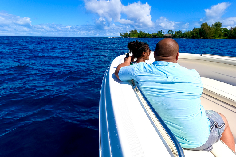 Hilo: Humpback Whale-Watching Cruise with Snacks and Drinks
