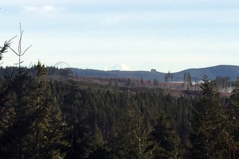 Von Portland aus: Tagesausflug an die Küste von Nord-Oregon