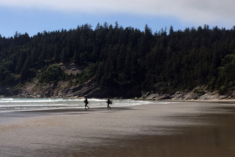 Da Portland: gita di un giorno alla costa dell&#039;Oregon nella zona di Cannon BeachDa Portland: gita di un giorno sulla costa settentrionale dell&#039;Oregon