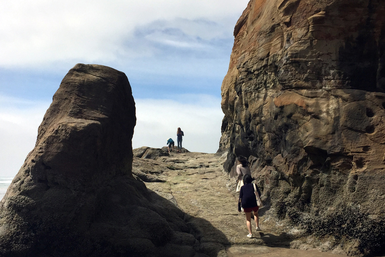 De Portland: excursion d'une journée sur la côte nord de l'Oregon