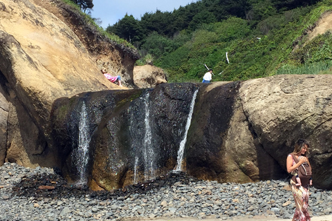 Desde Portland: excursión de un día a la costa norte de Oregón