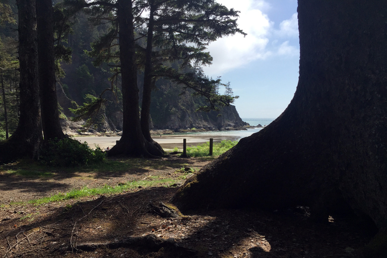 Da Portland: gita di un giorno alla costa dell&#039;Oregon nella zona di Cannon BeachDa Portland: gita di un giorno sulla costa settentrionale dell&#039;Oregon