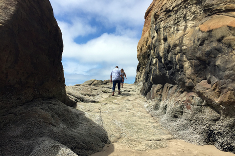 De Portland: excursion d'une journée sur la côte nord de l'Oregon