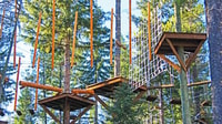 Idaho Springs, Ropes Challenge Course Ticket - Housity