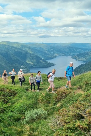 Visit Bergen Fjord Hiking - Public tour in Bergen