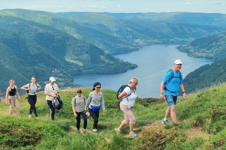 Bergen: Fjordwandelen - Openbare rondleidingBergen: Fjordwandeling - Openbare rondleiding