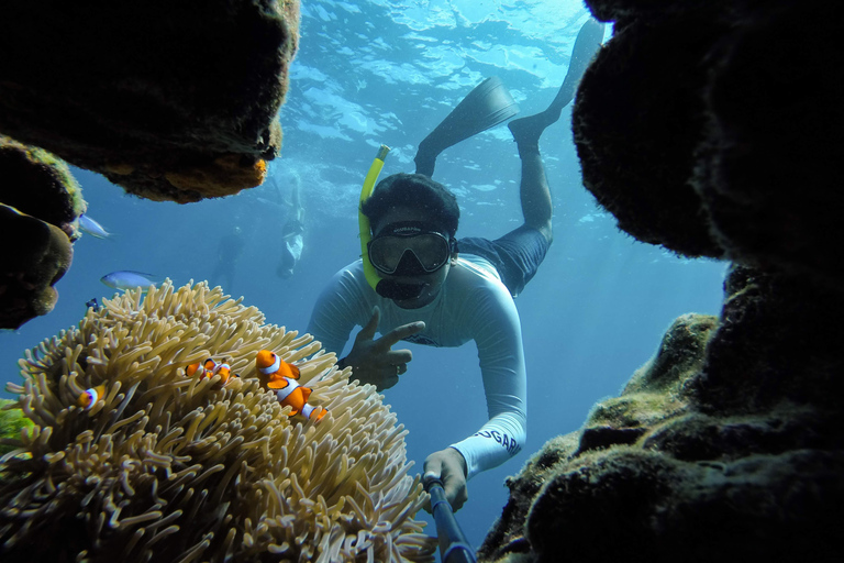 Phuket: Viagem de 1 dia em lancha rápida para as Ilhas Surin com mergulho com snorkelTraslado de ida e volta de/para Phuket