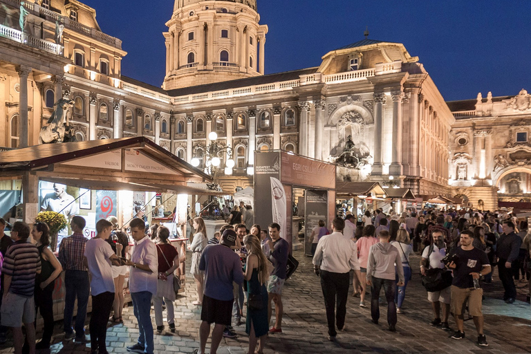 Budapeste: passeio noturno pela Colina do Castelo com o Bastião dos PescadoresLuzes e pontos turísticos da Colina do Castelo