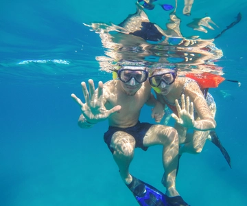 Cabo San Lucas: Schnorcheltour mit Open Bar & Snacks