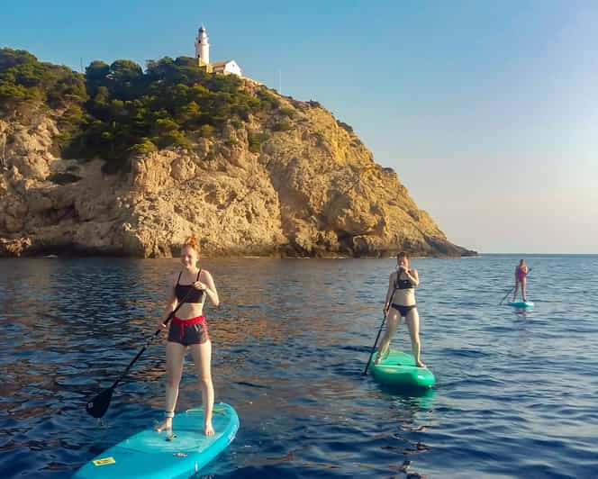 Cala Ratjada Stand Up Paddle oder Nachmittag Tour GetYourGuide
