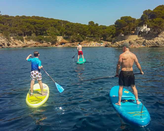 Cala Ratjada Stand Up Paddle oder Nachmittag Tour GetYourGuide