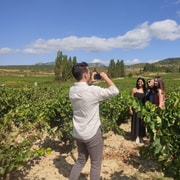 Rioja wine tour: two wineries from La Rioja or Pamplona