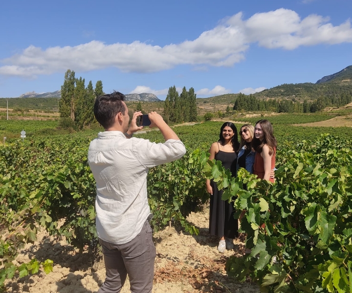 From Pamplona or Logroño: Rioja Wineries Day Trip w/ Tasting