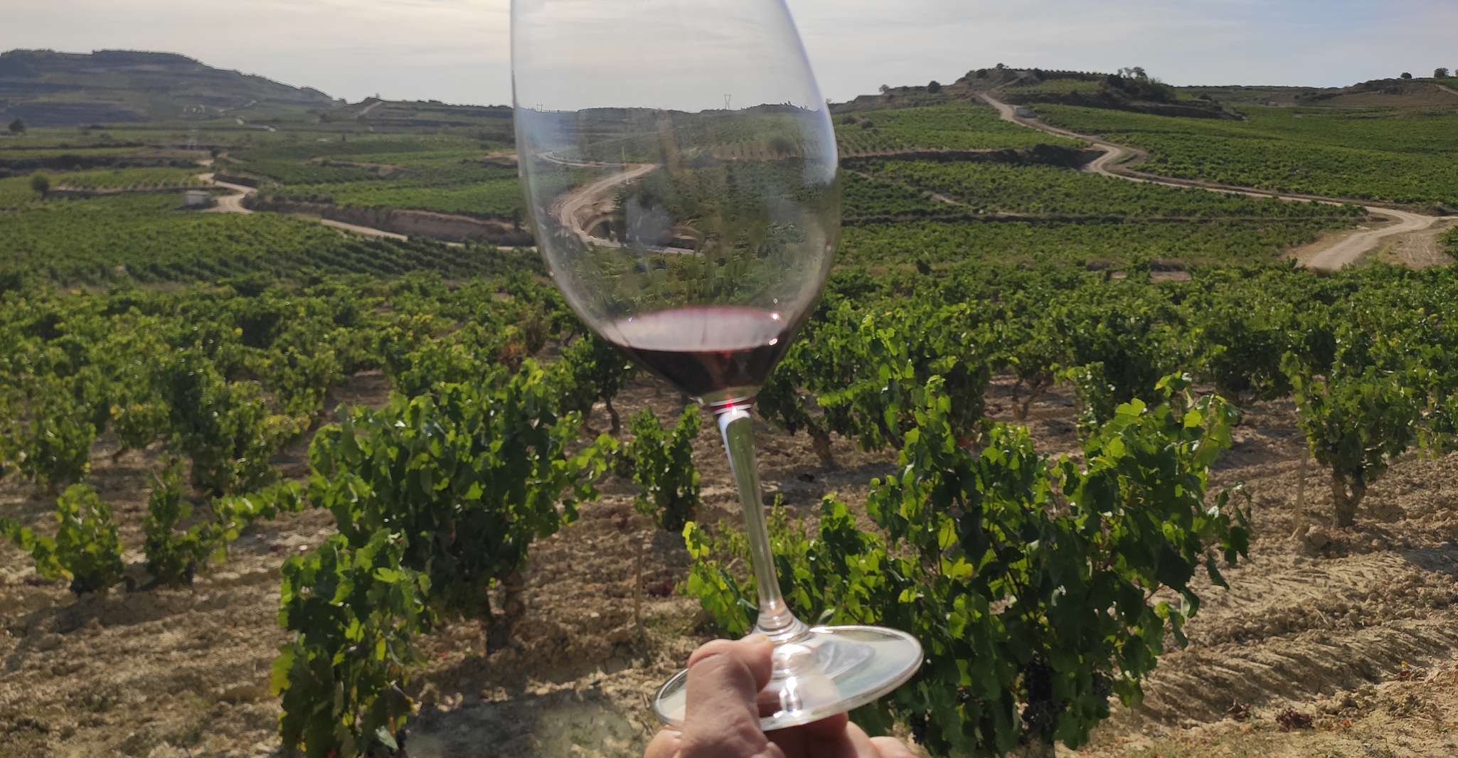 From Pamplona or Logroño, Rioja Wineries Day Trip w/ Tasting - Housity