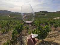 From Pamplona or Logroño, Rioja Wineries Day Trip w/ Tasting - Housity