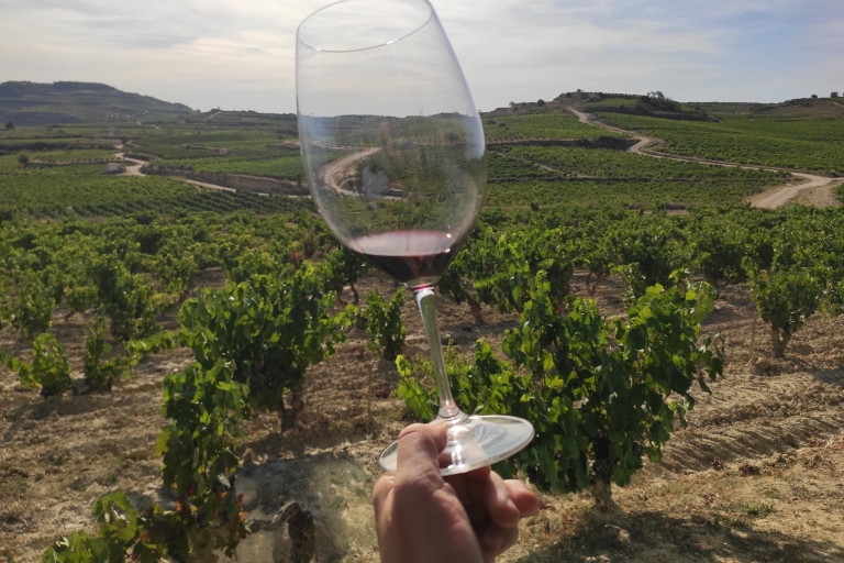 Depuis Pampelune ou Logroño : Excursion d'une journée dans les vignobles de la Rioja avec dégustationAu départ de Logroño : Visite de groupe en anglais