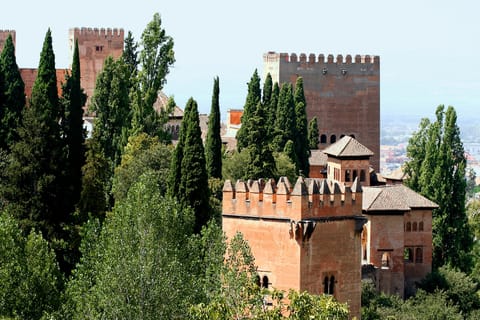Granada: tour guidato dell'Alhambra con Palazzi Nasridi e City Pass