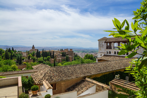 Granada: Alhambra rondleiding met gids/ Nasrid Paleizen & StadspasEngelse tour en stadspas