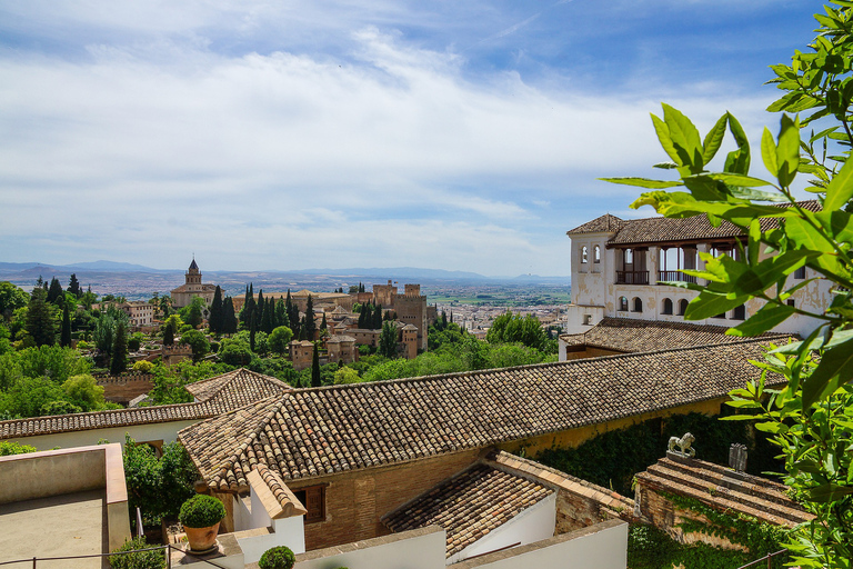 Granada: Alhambra rondleiding met gids/ Nasrid Paleizen & StadspasSpaanse Tour en Stadspas