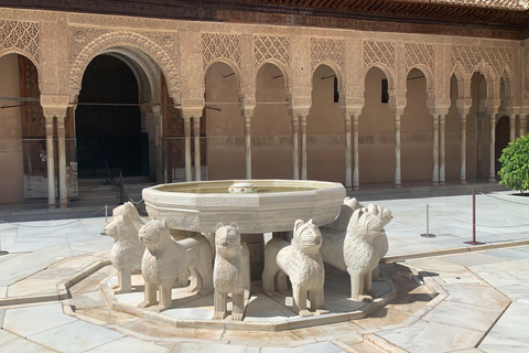 Granada: Alhambra rondleiding met gids/ Nasrid Paleizen & StadspasSpaanse Tour en Stadspas