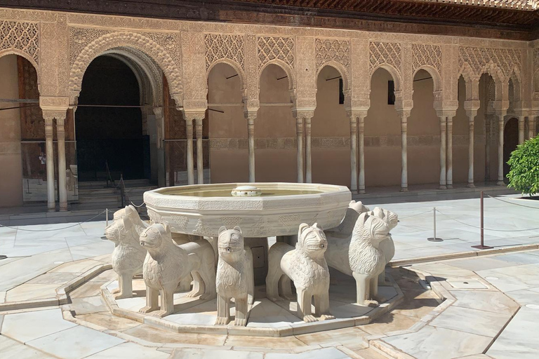 Granada: Alhambra rondleiding met gids/ Nasrid Paleizen & StadspasEngelse tour en stadspas