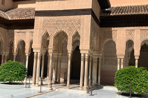 Granada: Alhambra Guided Tour w/ Nasrid Palaces & City Pass French Tour and City Pass