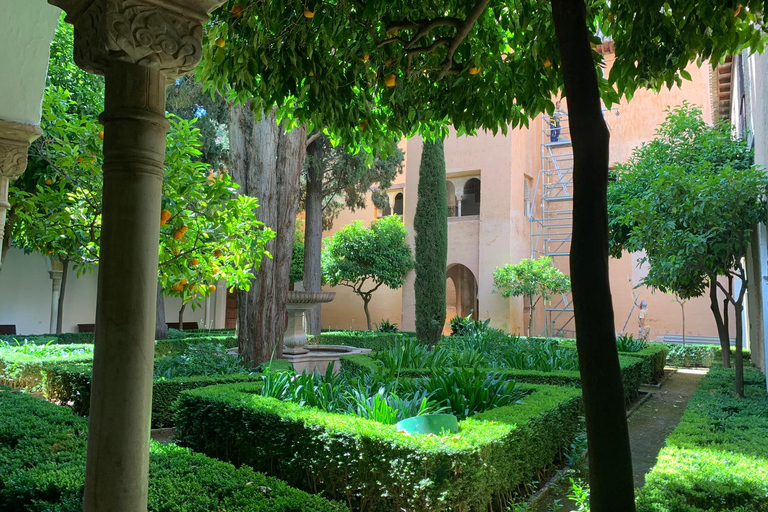 Granada: Alhambra Guided Tour w/ Nasrid Palaces &amp; City PassFrench Tour and City Pass