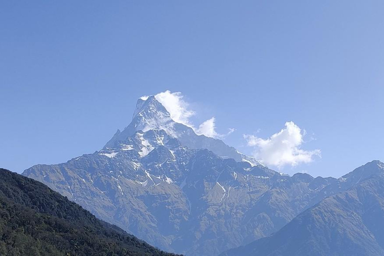 Från Katmandu: 8-dagars Mardi Himal Trek med transfer