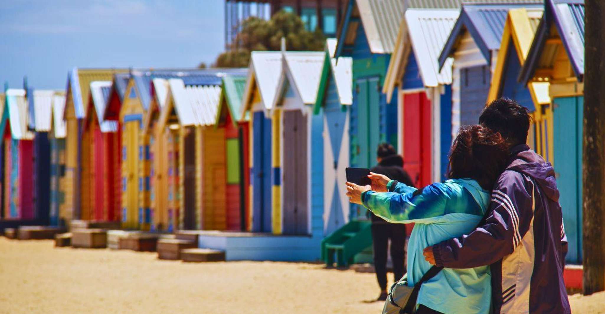 Phillip Island Penguin Parade with Expert Local Guide photo 2