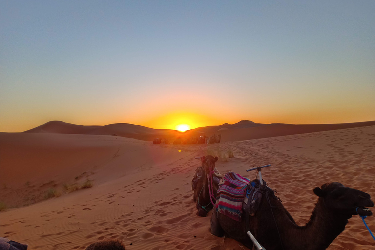 Da Marrakech: Escursione di 3 giorni a Fes attraverso il deserto di Merzouga