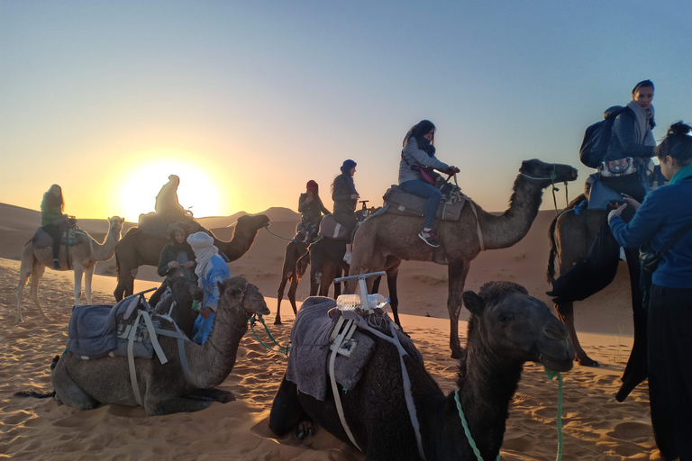 Da Marrakech: Escursione di 3 giorni a Fes attraverso il deserto di Merzouga